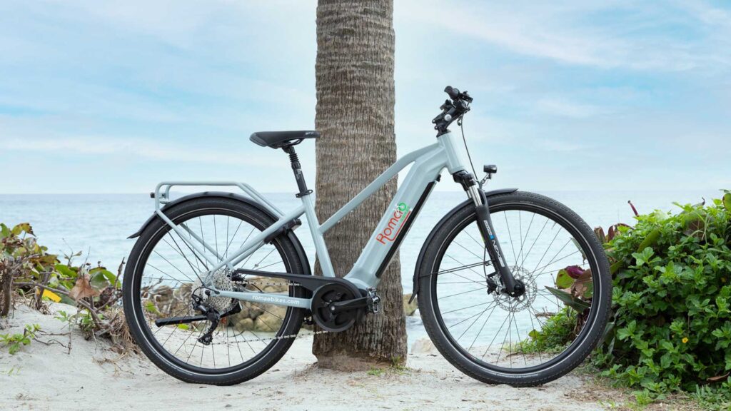 roma ebikes elegante beach palm tree